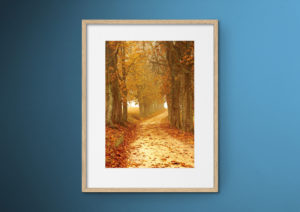Framing and mounting your picture