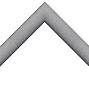 Metallic pewter picture frames