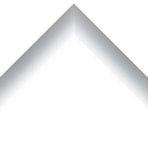 Metallic silver frames